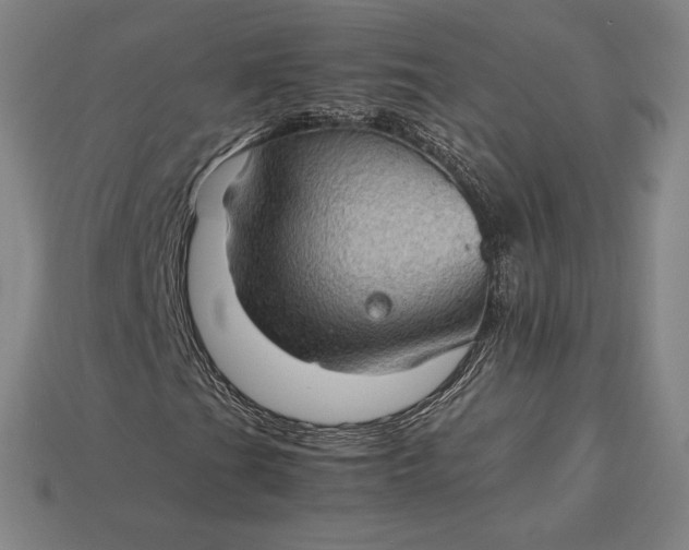 X0000115281201200911131821