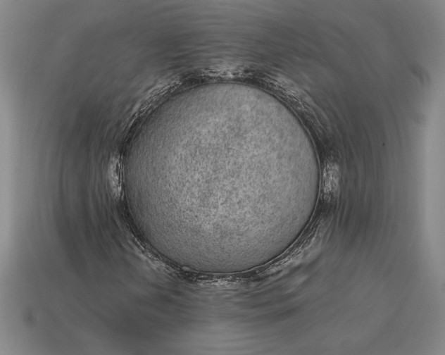 X0000115281202200911131821