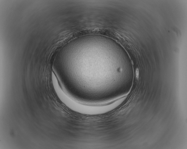 X0000115281203200911131821