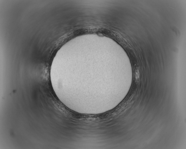 X0000115281204200911131821