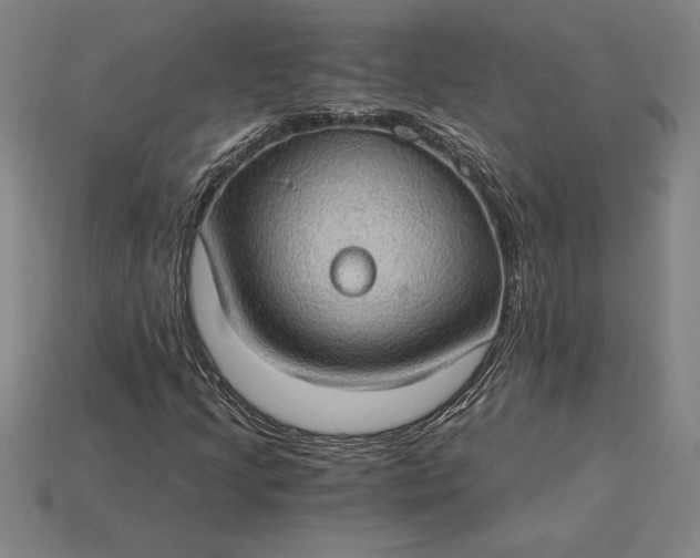 X0000115281205200911131821