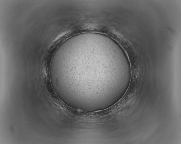 X0000115281206200911131821