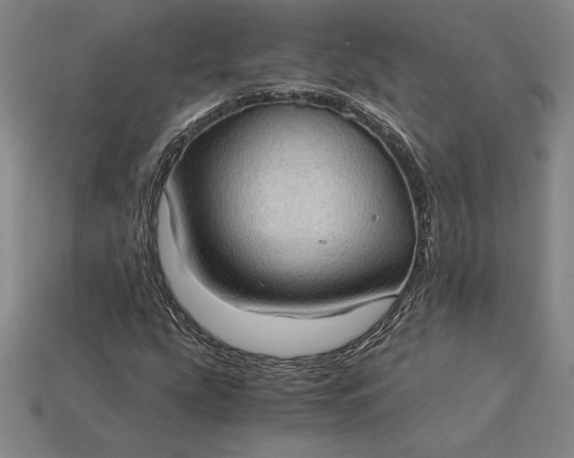 X0000115281207200911131821