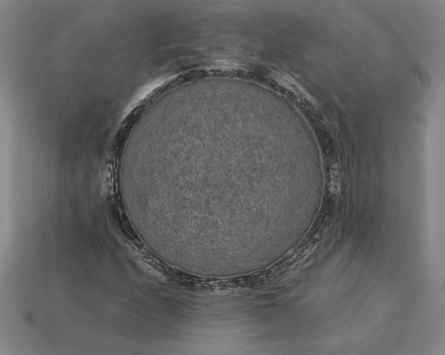 X0000115281208200911131821