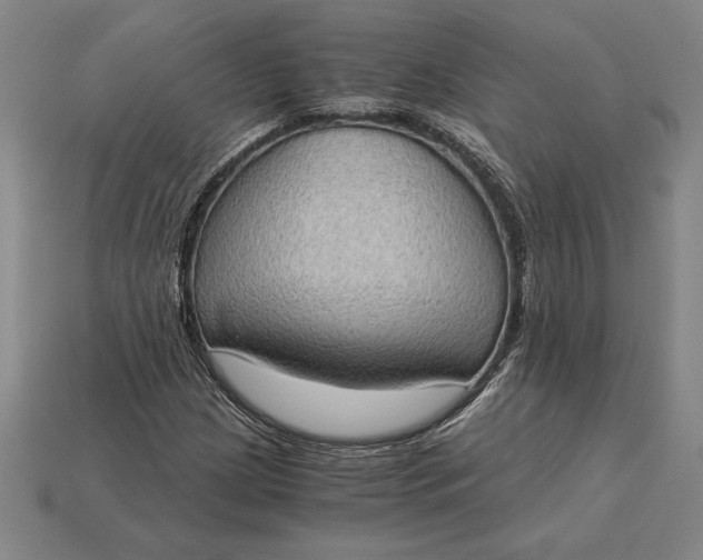 X0000115281209200911131821