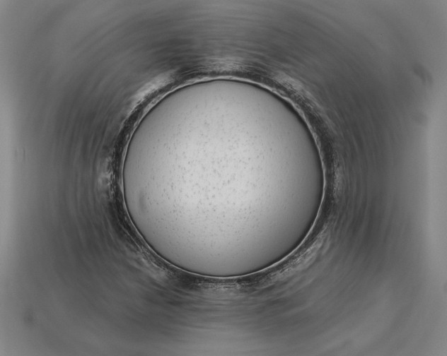 X0000115281210200911131821