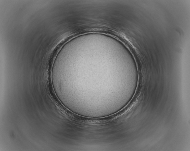 X0000115281211200911131821