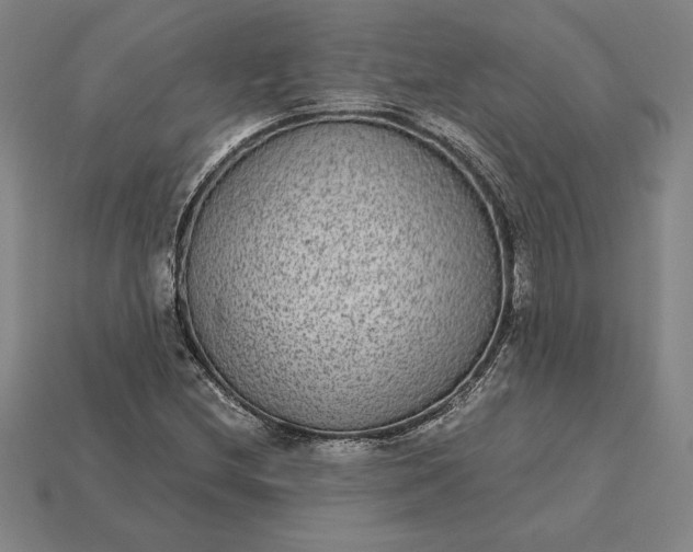 X0000115281212200911131821