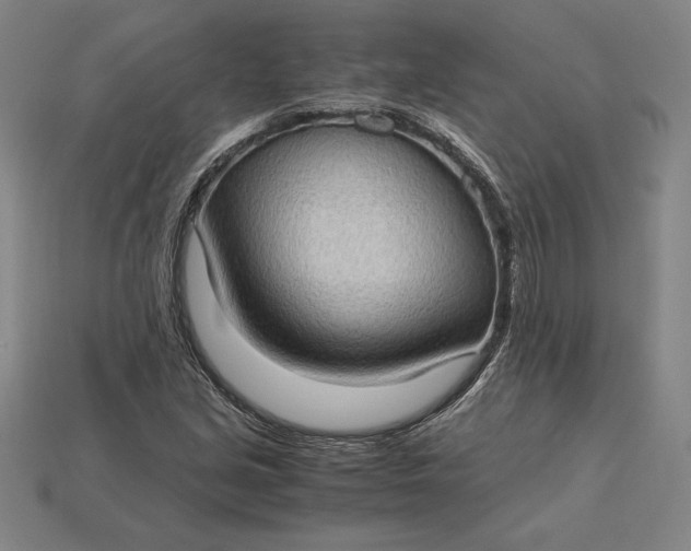 X0000115281213200911131821