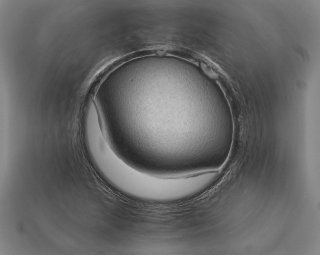 X0000115281215200911131821