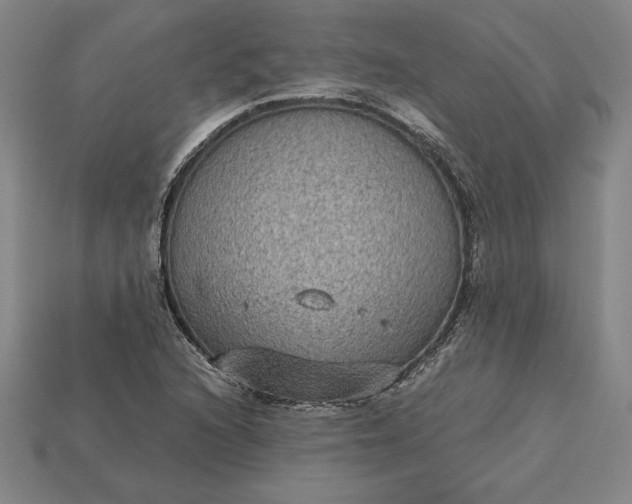 X0000115281216200911131821