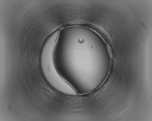 X0000115281217200911131822