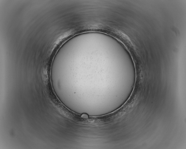 X0000115281218200911131822