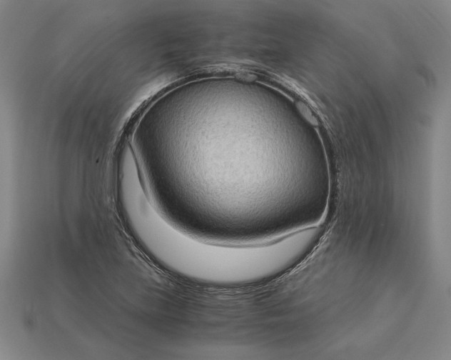 X0000115281219200911131822