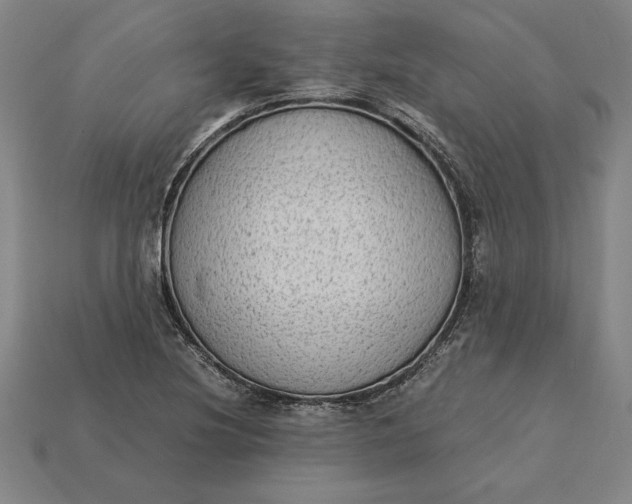 X0000115281220200911131822