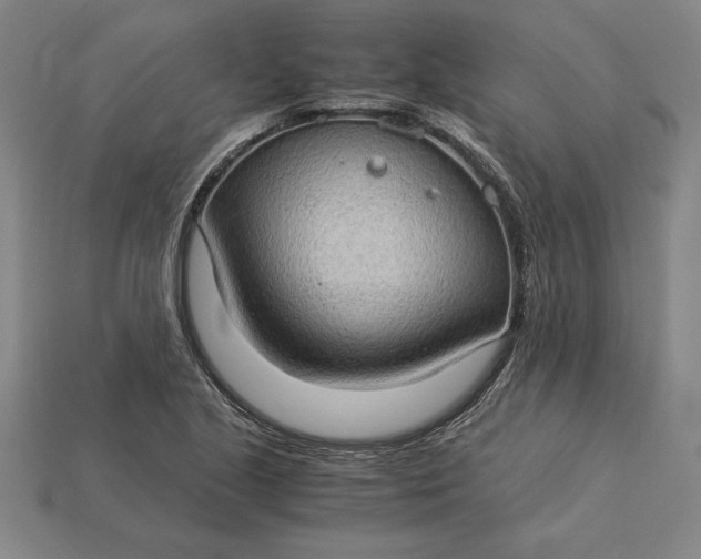 X0000115281221200911131822