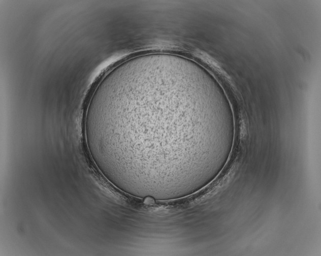 X0000115281222200911131822