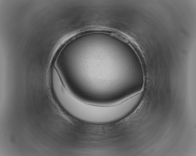 X0000115281223200911131822