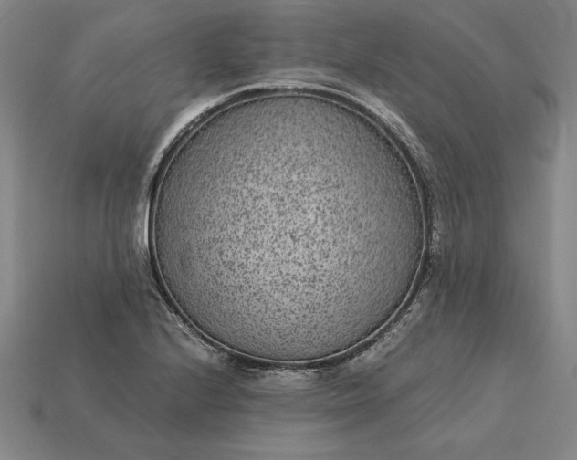 X0000115281224200911131822