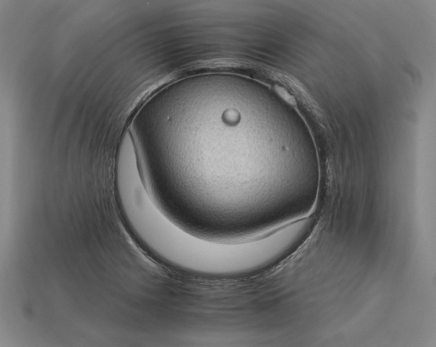 X0000115281225200911131822