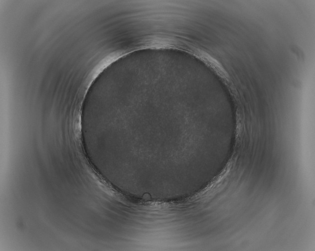 X0000115281226200911131822