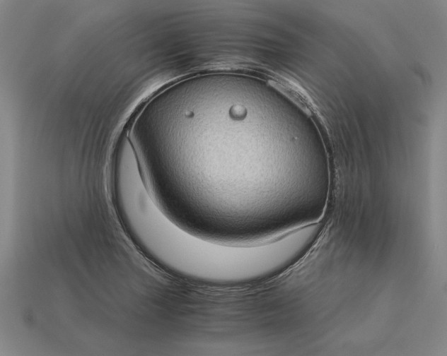 X0000115281227200911131822