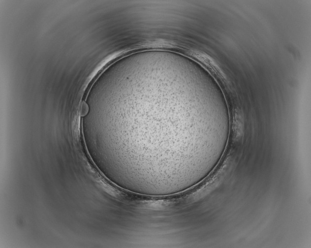 X0000115281228200911131822