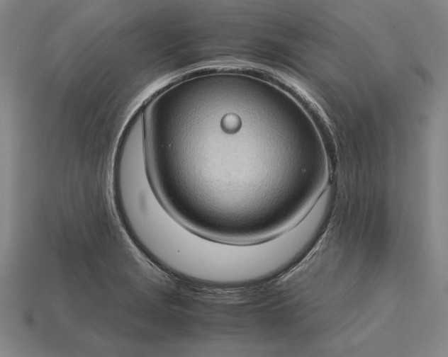 X0000115281229200911131822