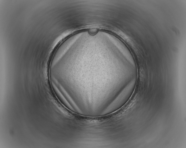 X0000115281230200911131822