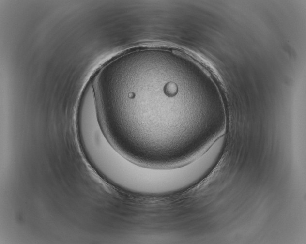 X0000115281231200911131822