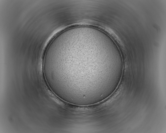 X0000115281232200911131822