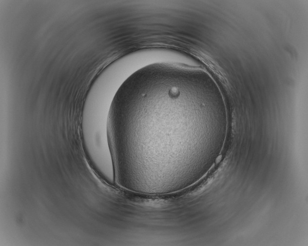 X0000115281233200911131822