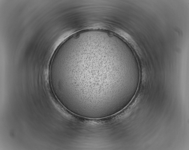 X0000115281234200911131822