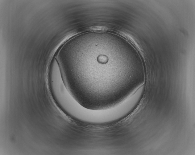 X0000115281235200911131822