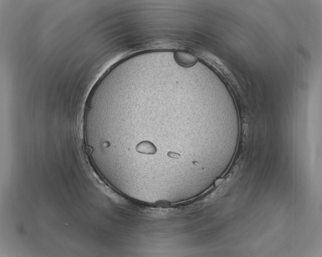 X0000115281236200911131822