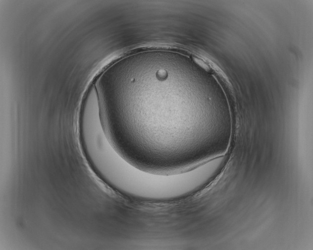 X0000115281237200911131822