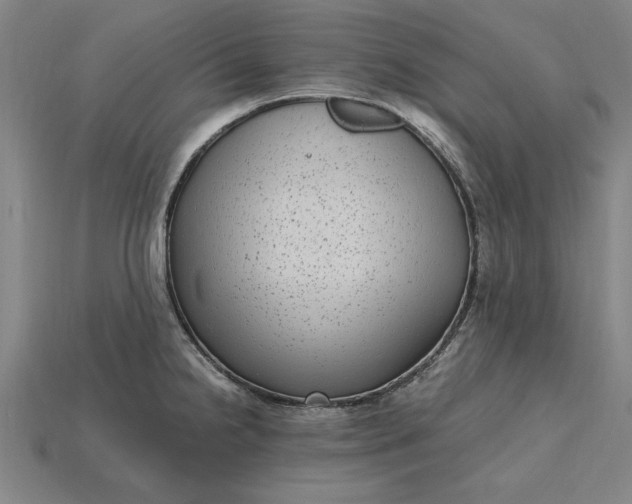 X0000115281238200911131822