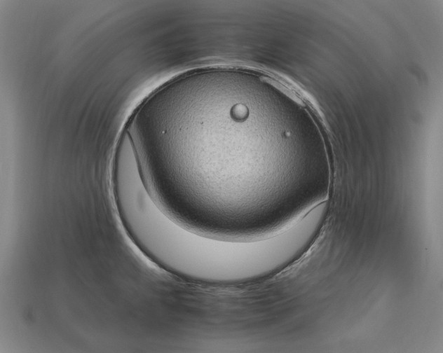 X0000115281239200911131822