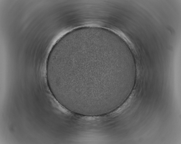 X0000115281240200911131822