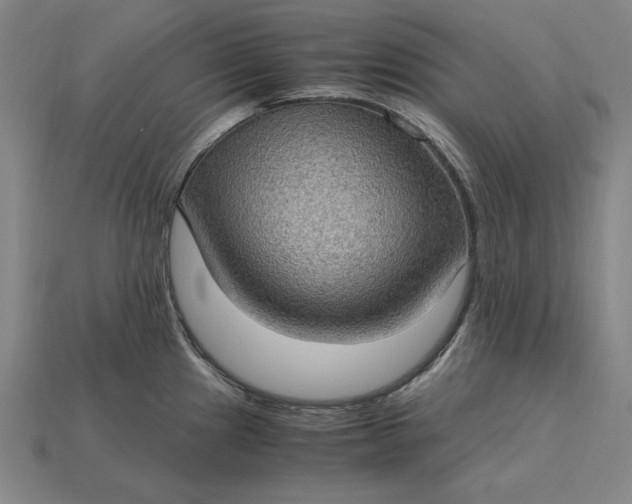 X0000115281241200911131822