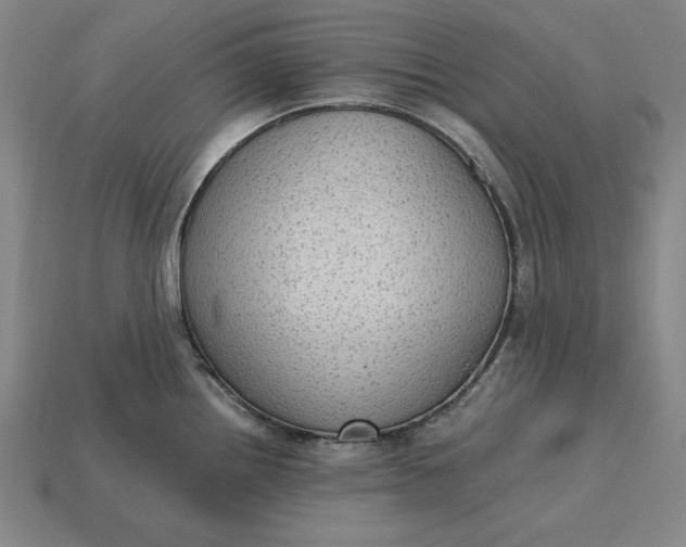 X0000115281242200911131822