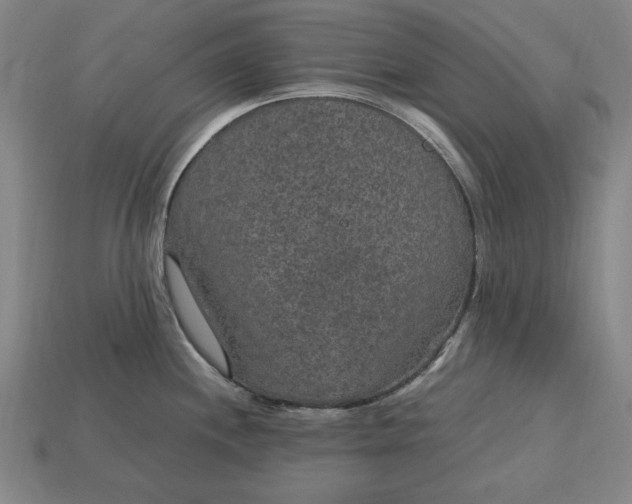 X0000115281244200911131822