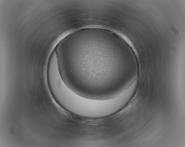 X0000115281245200911131822