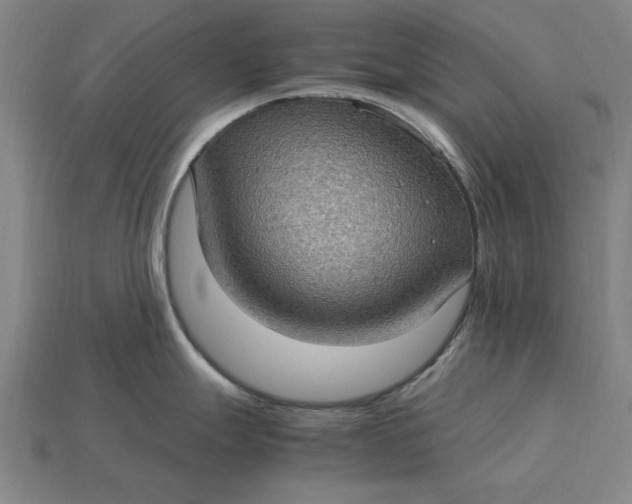 X0000115281247200911131822