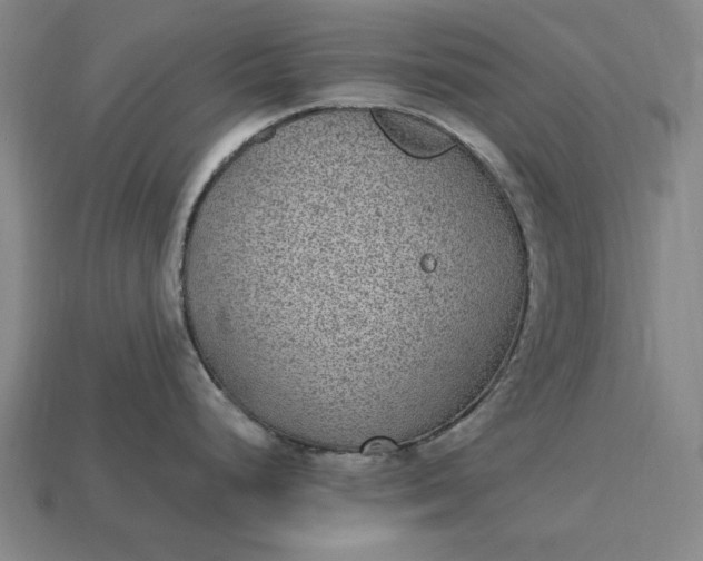 X0000115281248200911131822