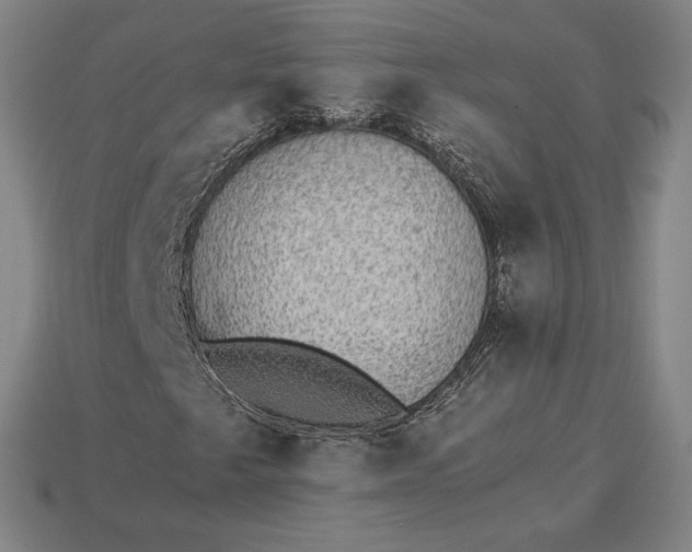 X0000115281249200911131821