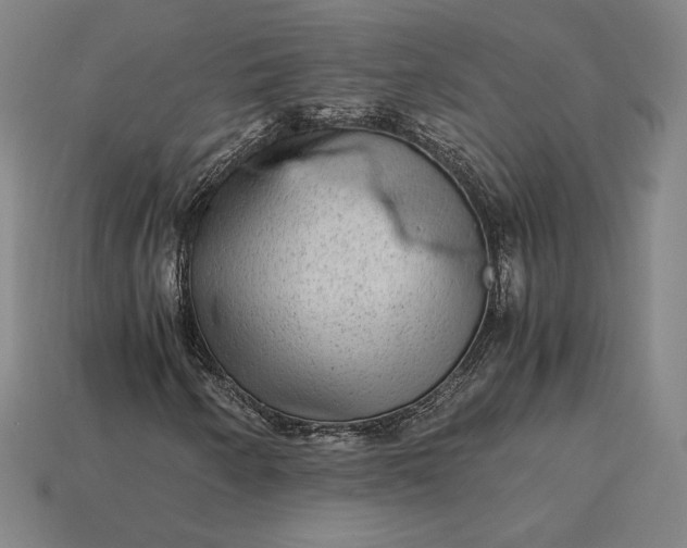 X0000115281250200911131821