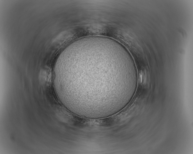 X0000115281251200911131821