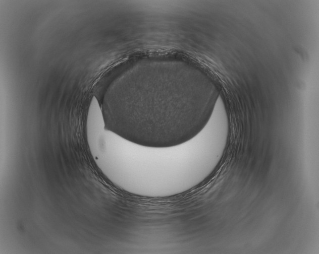 X0000115281252200911131821