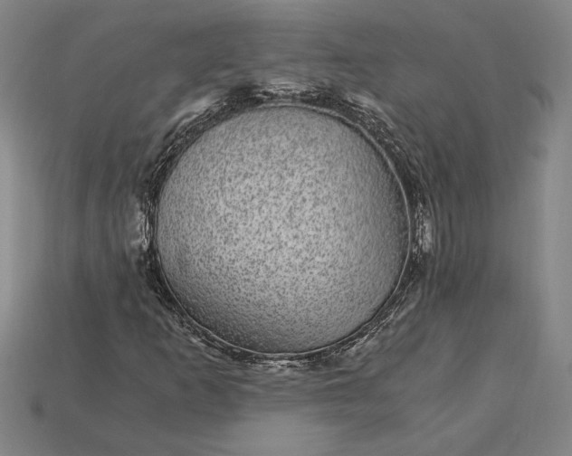 X0000115281253200911131821